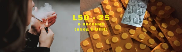 ПСИЛОЦИБИНОВЫЕ ГРИБЫ Аркадак