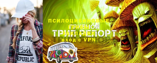 ПСИЛОЦИБИНОВЫЕ ГРИБЫ Аркадак