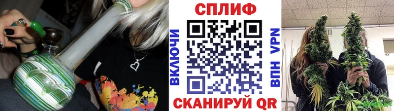 где купить наркотик  Ростов  Бошки марихуана семена 